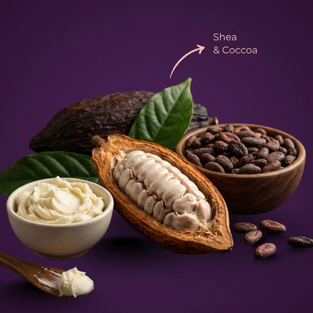 Shea and coccoa