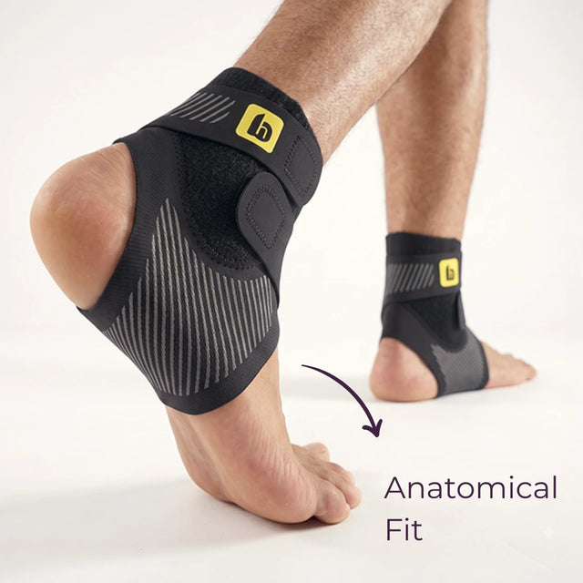 Anatomical Fit