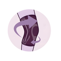 Anatomical Fit