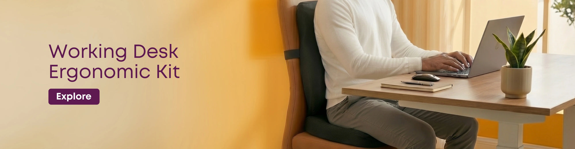 Working Desk Ergonomic Kit