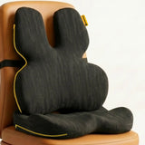 PosturePro Plus Premium Ergonomic Seat & Lumbar Cushion Combo for Chairs