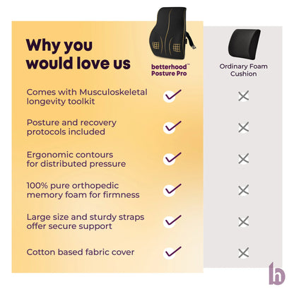 Lumbar Backrest Cushion - Why you would love us