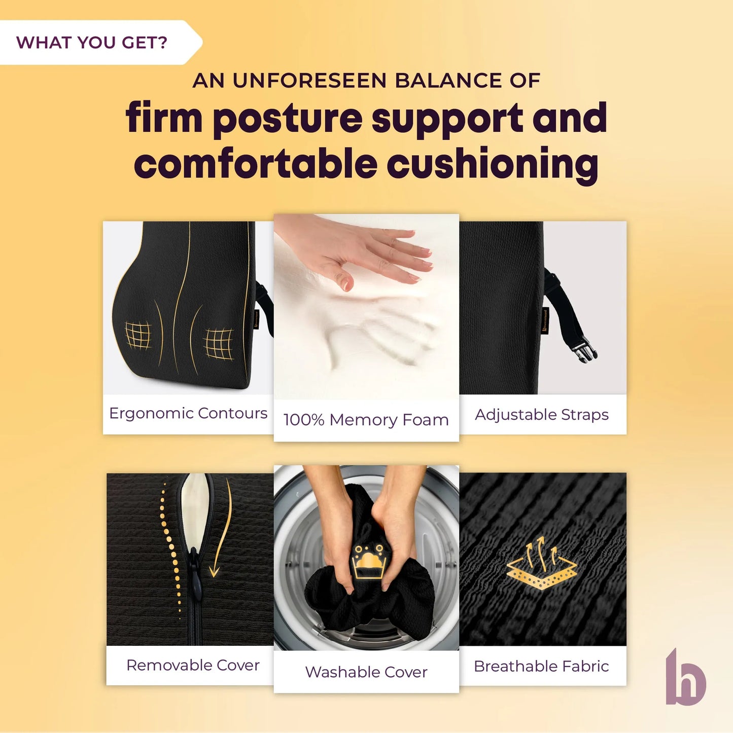 Lumbar Backrest Cushion - WHAT YOU GET