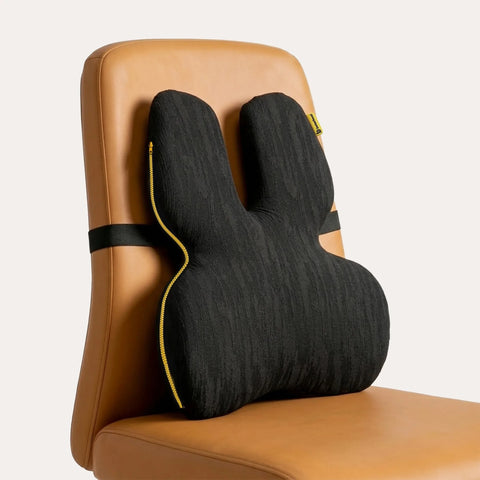 PosturePro Plus Premium Ergonomic Lumbar Backrest Cushion for Chairs